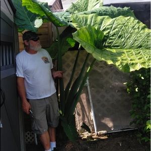 Meet your Posher, Thomas